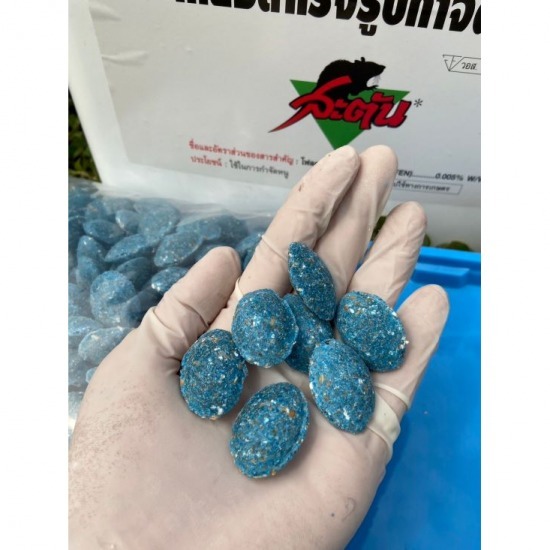 บริษัทกำจัดหนู เชียงราย บริษัทกำจัดหนู เชียงราย