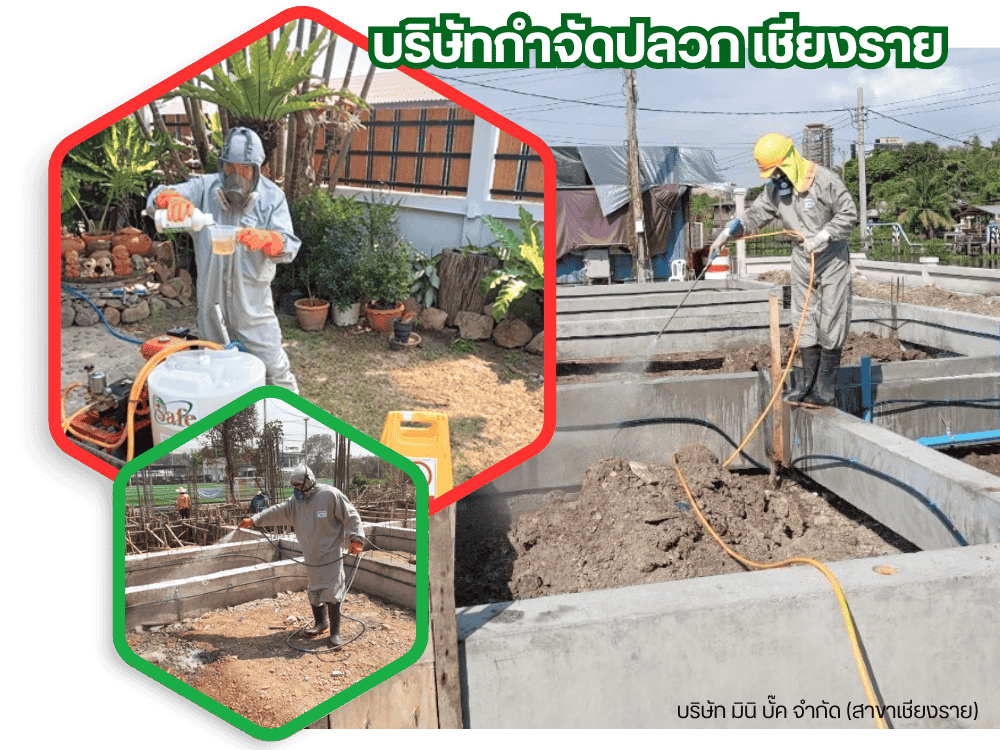 บริษัทกําจัดปลวก เชียงราย บริษัทกําจัดปลวก เชียงราย