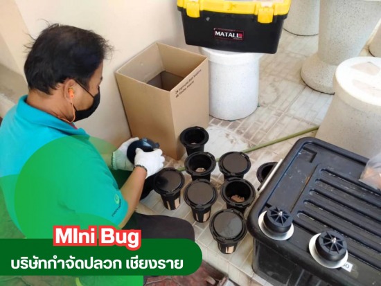 รับวางระบบป้องกันปลวก เชียงราย รับวางระบบป้องกันปลวก เชียงราย