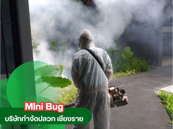 รับพ่นยุง เชียงราย